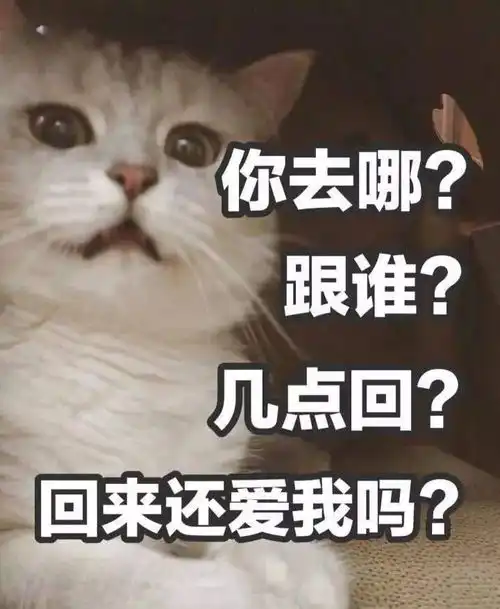  开心搞笑之你们有对象的整天聊些什么
