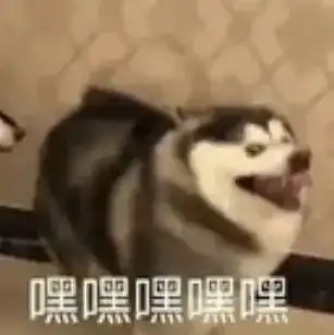  玩吃鸡不停叫错的名字,还被叫大姐