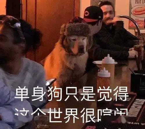  这两个人也太可爱了吧,高兴的东北话都飙出来了