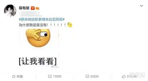 表情包著作权登记苏有朋