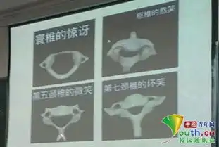  高校教师课堂上展示颈椎表情包解剖课成了斗图课