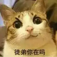  喵星人师徒搞笑聊天表情包信息,使用方法,免费下载