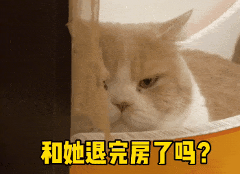  抖音表情包i出来请我喝奶茶啊14亿人我就约了你