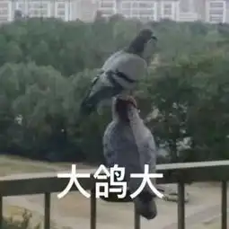 洗冷水澡搞笑表情包搞笑