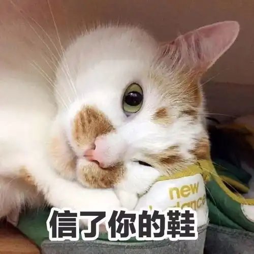  楼楼再见