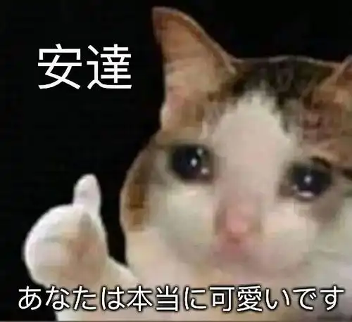  姐妹们,我看了走不出来