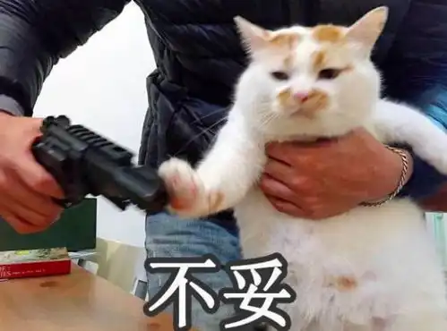 蘑菇头对讲机表情包猫咪