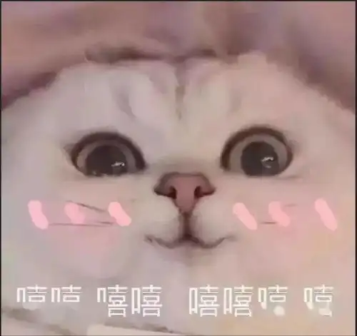 小黑猫的表情包嘻嘻