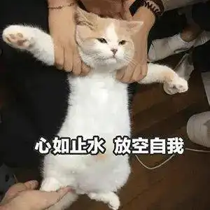  表情包人生如旅,简单点
