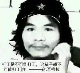 窃瓦拉格表情包读书