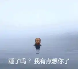  我一定是脑子进水了才会去网恋,可以说是年度最惨了