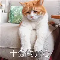 生无可恋表情包猫咪超萌一副生无可恋的猫咪表情包