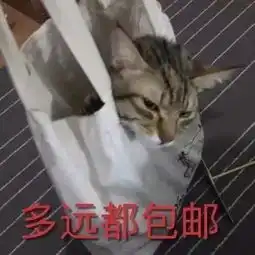  一大波蛇精猫表情包来袭,要斗图的拿走不谢