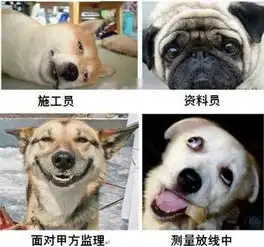  爆笑建筑施工人员表情图搬砖工地人员表情包