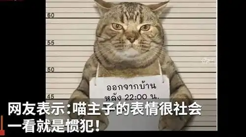  太平鸟能把抄袭门走成去罗马的光明大道吗