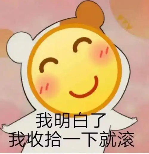 igtheshy表情包表情
