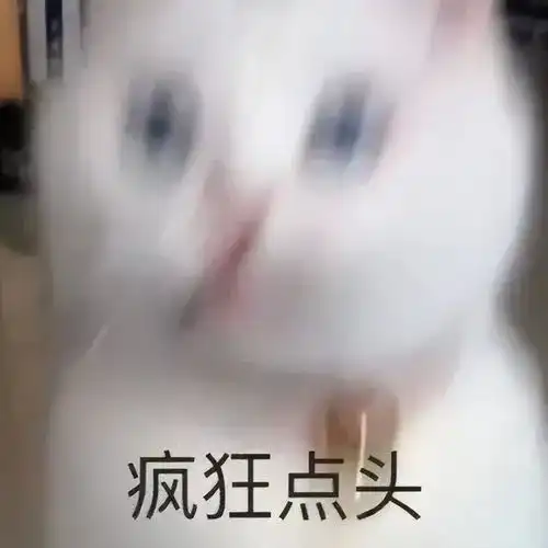  搞笑猫猫表情包第八弹