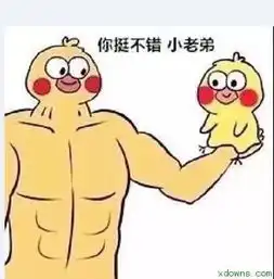 小黄鸭斗图表情包老弟