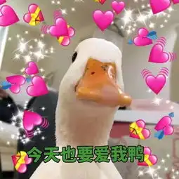  怎么现在的年轻人那么爱用鸭鸭
