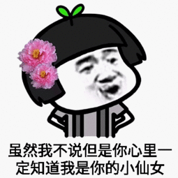  叫我小仙女表情包