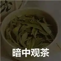  抖音谐音搞笑成语表情包