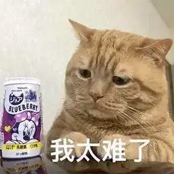  猫咪表情包合集我太难了,我想静静