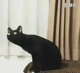  表情包大放送拿走不谢