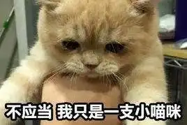  开心一刻笑话美女脱下鞋子后,那晚,我第一次当了正人君子