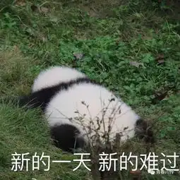 画斗图熊猫表情包素描摆