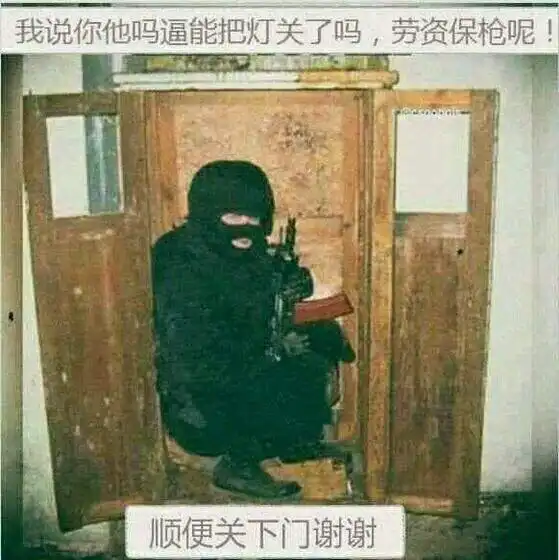 csgo陀螺表情包熊猫