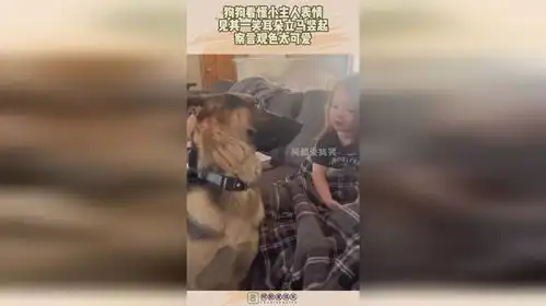  狗狗看懂小主人表情,见其一笑耳朵立马竖起,察言观色太可爱