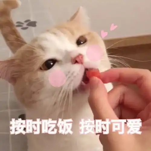  适合配自拍发朋友圈的沙雕文案
