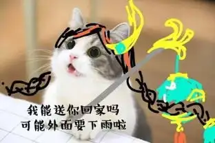  王者荣耀喵星人表情包无水印