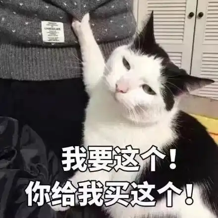猫猫表情包高清大合集
