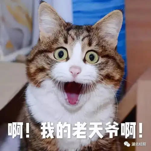  中到大雨暴雨来了还有强对流