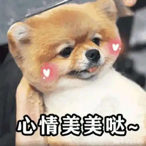  肖战为孙燕姿反黑,表情包成亮点,网友果然是头号铁粉