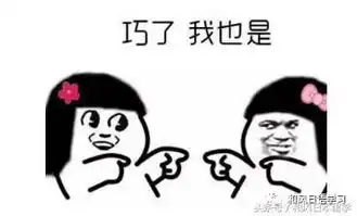  日本人为什么非常偏爱米田共