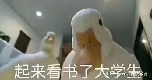  自考的真实通过率,究竟是多少