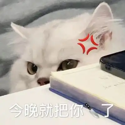  可爱小猫咪在线撒娇
