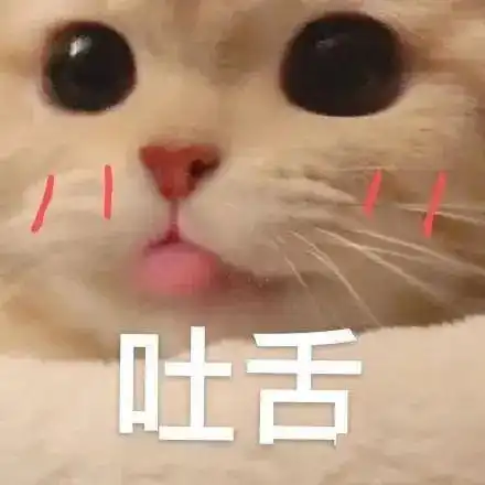  猫咪表情包做啥啥不对,天天只会睡