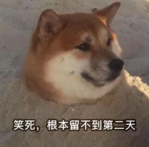  被嘲上热搜的发育系爱豆,到底有没有事业心