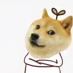 单身狗证表情包宁泽寿