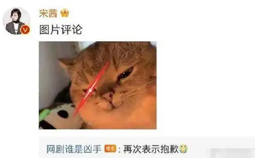  谁是凶手使用宋茜照片做遗照,公开道歉后,宋茜发表情包回应
