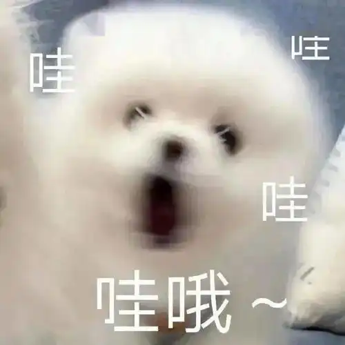  求求了这6支口红麻烦直接在我嘴上半永久