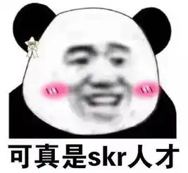  一夜霸屏的skr,是什么梗网友科普了它的正确使用方法,太有才了