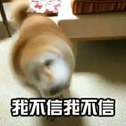 乖表情包别闹