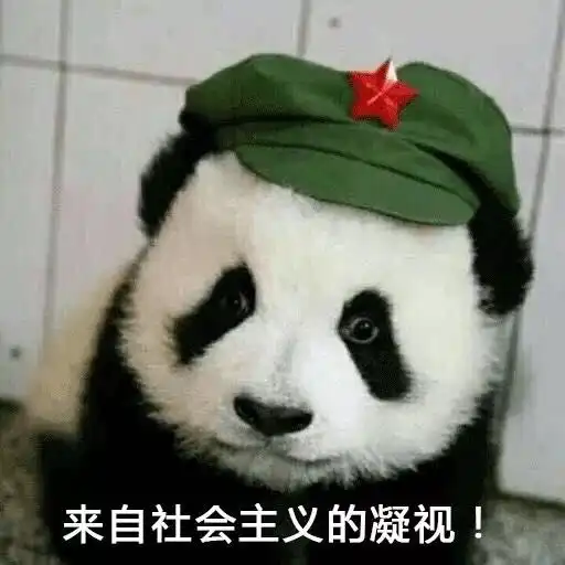 友商是sb表情包熊猫