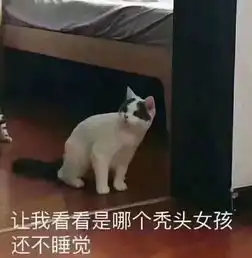  致我们终将失去的黑色恋人