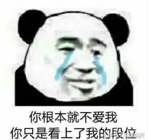  王者荣耀表情包你根本不爱我只是看上了我的段位