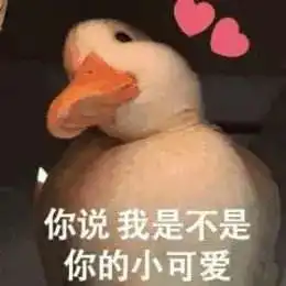  错过这个留学申请时间表,你很有可能会与梦校失之交臂
